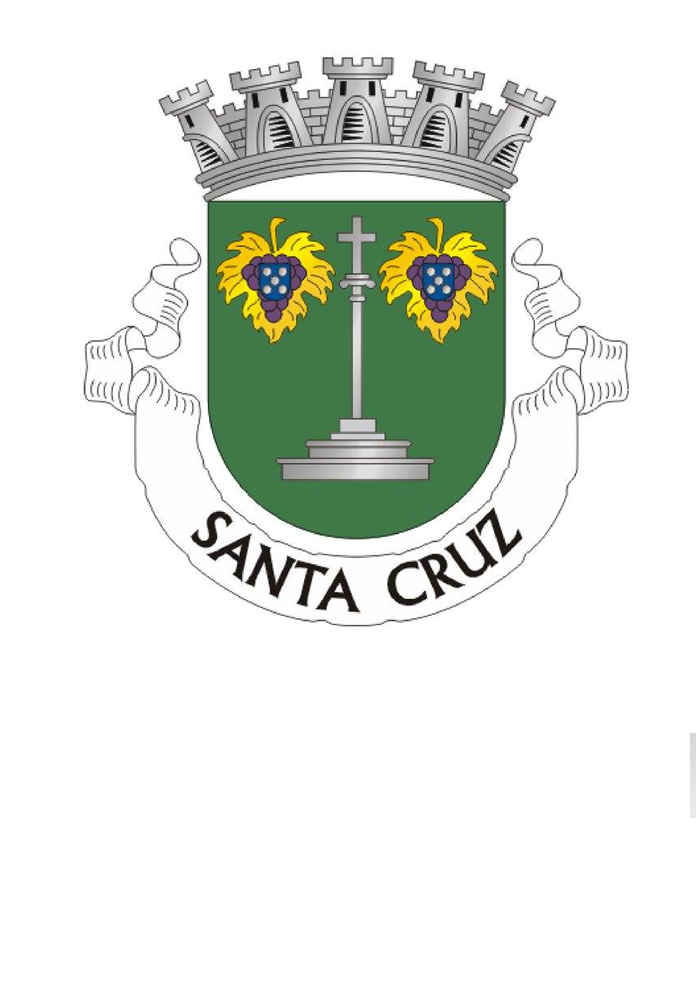 Tomada de Posse da Assembleia Municipal de Santa Cruz